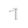 baterija-za-lavabo-visoka-rosan-quadro-jq30109