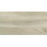 Zorka Forest Birch FT 30x60x0,9cm (1)