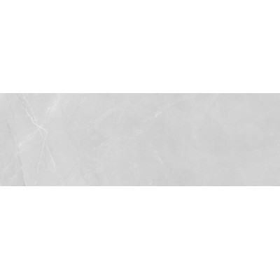 Kanjiža Elegant Light Grey WT 20x60cm (1)