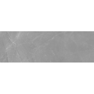 Kanjiža Elegant Grey WT 20x60cm (1)