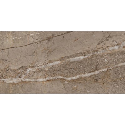 Kanjiža Kingstone Brown WT 25x50cm (1)