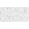 Kanjiža Carrara Mosaic 3D WT 25x50cm (1)