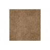 Toza Marković Bartok Brown 33x33cm FT (2)