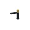 Baterija za lavabo hladna voda Rosan Black & Gold 254101BG